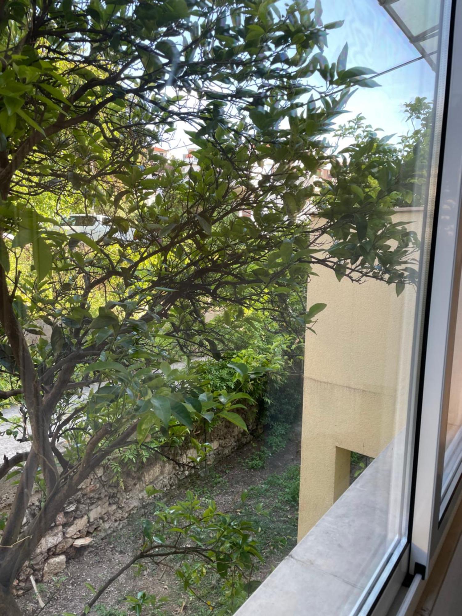 Apartmani Isabella - Ilda Radonic Jelsa (Hvar) Exterior foto